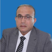 Hisham Abdelgawad