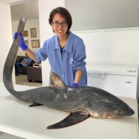 Alexandra Carolina Orué Carranza