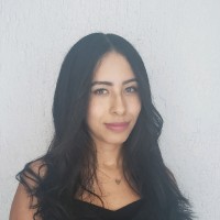 Diana Lizette Fernández Román