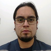 Fernando Alexander Henriquez Pulgar