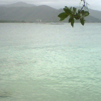 Ronald Brizuela