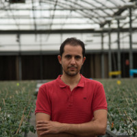 Christos Papalexandris