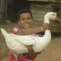 Gustavo Bunharo