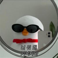 송지영