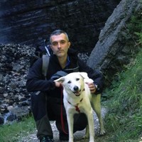 Michele Amadesi
