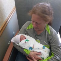 Anne Bertino