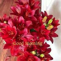 kishor Meswani
