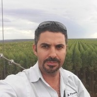 Bruno Grandi Salgado