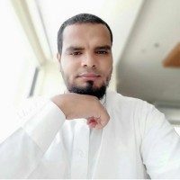 AHMED ELSAYED, PMP, RMP, ACP, PBA, PVD, PVI.