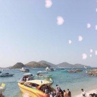 苏三说