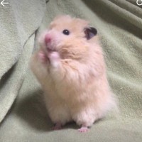 김성호