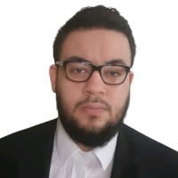 Shady Ahmed