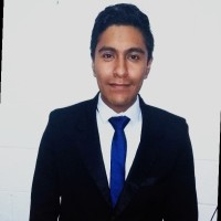 Mario Alejandro Cangas Dominguez