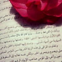 somaya m.a