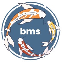 BMS CONSULTING (ID)