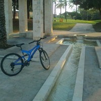 עבדאלשאפי אלסייד