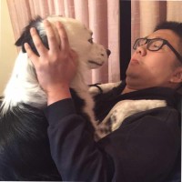 Qin Chen