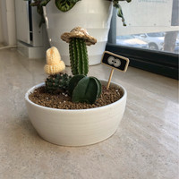 罗俊凯