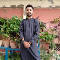 Faraz Ali
