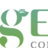 Geniecorp Vn