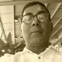 Tapan T