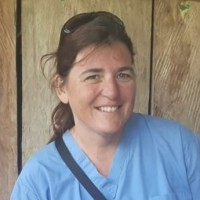 Lori Hollinger