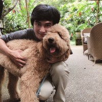 Lucas Nguyen