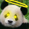 R HH