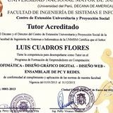 Luis Flores