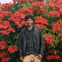 Dipesh Baradiya