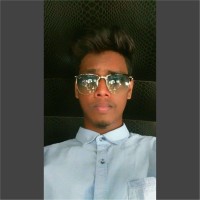 Yash Palsamkar