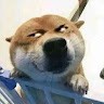 刘坤宇