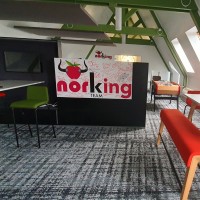 Norking Team