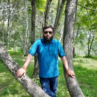 Yaser Awan