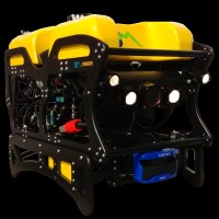 Julia Aguirre Tellez