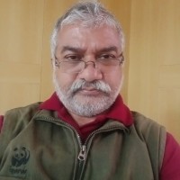 Gururaja Budhya