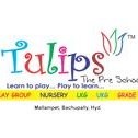 tulipsthe school
