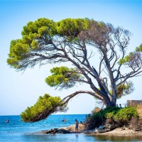Boust Stephane