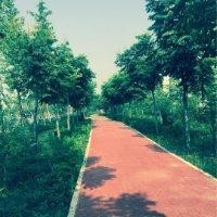 郝亚坤