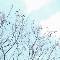 Guodong W