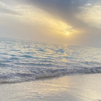 عمر ا