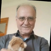 Mehran Zandipour