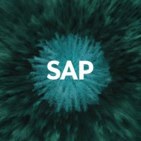 Sap In Depth
