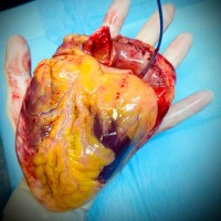 Javi García Menendez