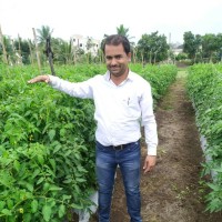 Pramod Solanki