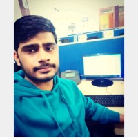 Vaibhav D.
