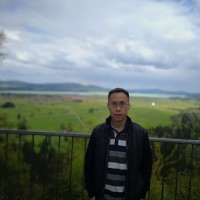 harry yang