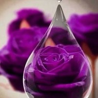 Rose M. K