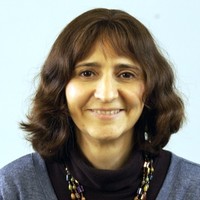 Sandra Stein