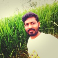 Chandra Reddy D